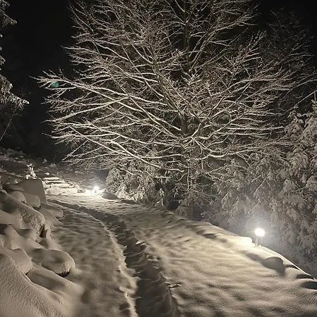 Widokownia برينا