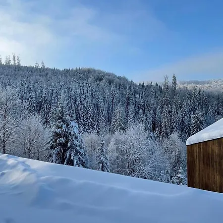 Dom wakacyjny Widokownia