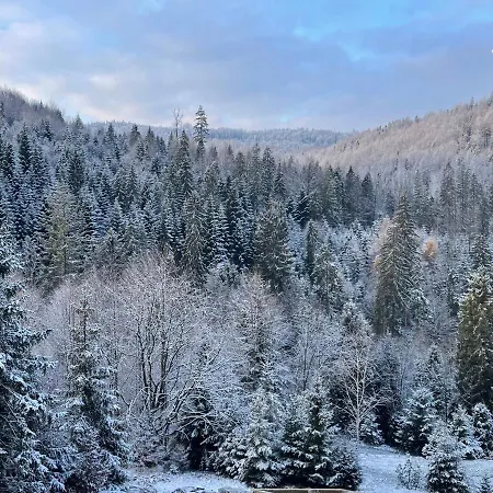Widokownia Holiday home *