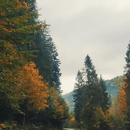 Widokownia Holiday home *