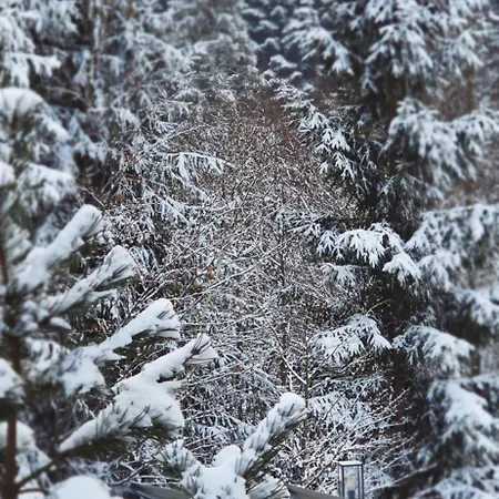Dom wakacyjny Widokownia Brenna