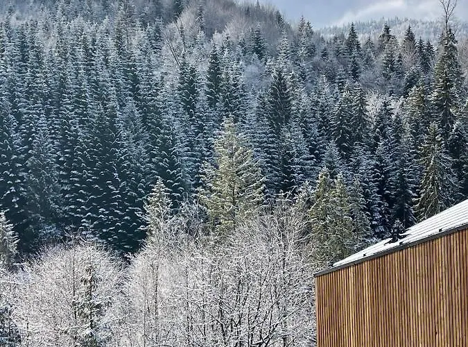 Holiday home Widokownia Brenna