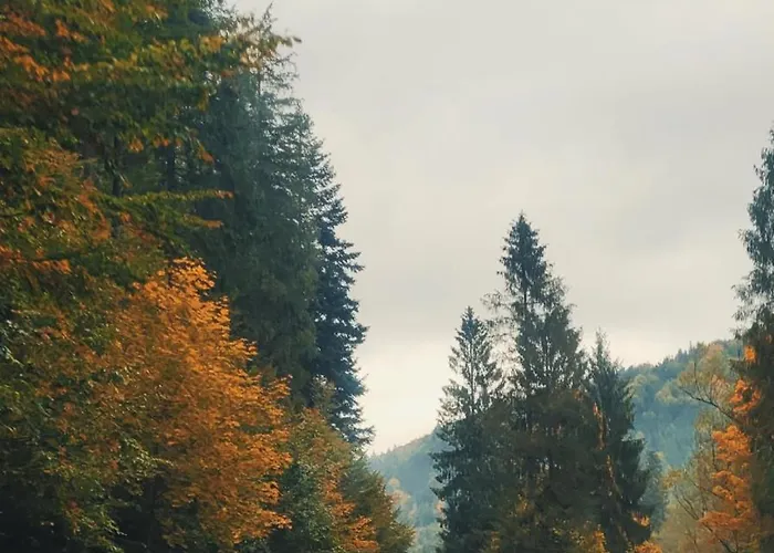 Widokownia Holiday home *