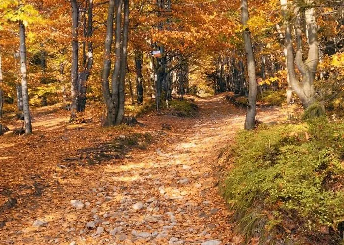 Widokownia Holiday home *