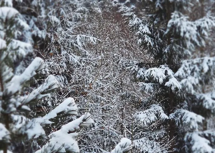 Dom wakacyjny Widokownia Brenna